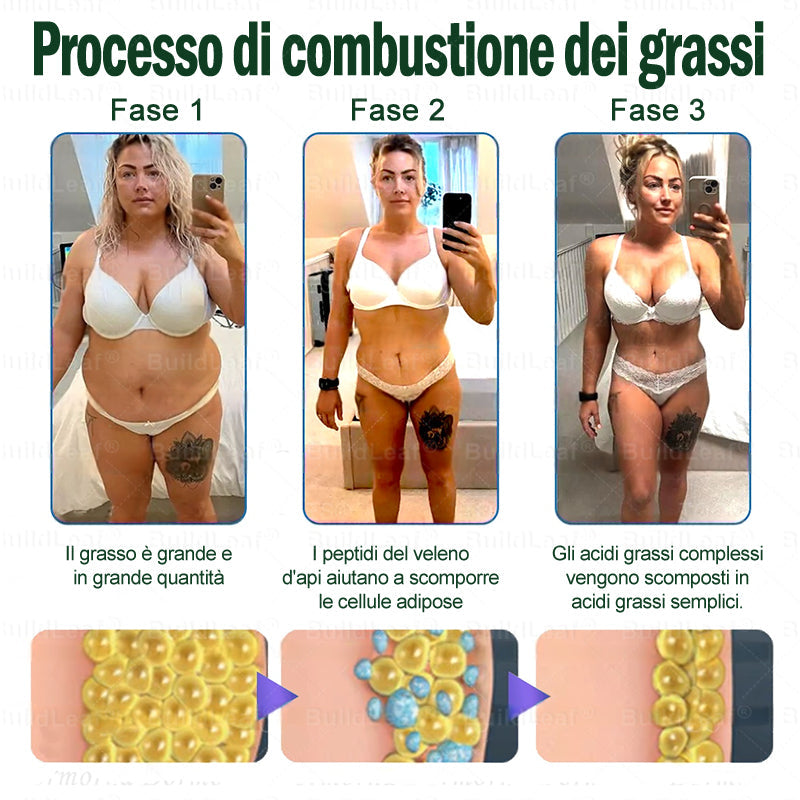 𝑩𝒖𝒊𝒍𝒅𝑳𝒆𝒂𝒇® ✅🔥🎁 FOLLIA ASSOLUTA! 70% DI SCONTO – Anche noi non possiamo credere di farlo! 🔥🎁
